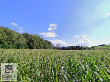 Kršna Glava | 4zida.rs