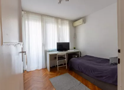 Šumatovačka | 4zida.rs