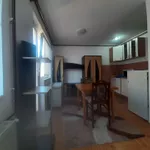 Niš, Gradske lokacije, Palilula | 4zida.rs | 4zida.rs