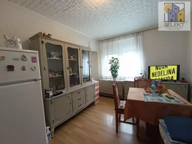 Pivara