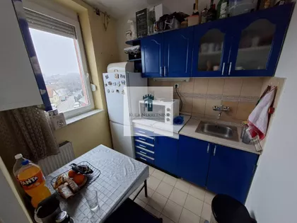 Rotkvarija | 4zida.rs