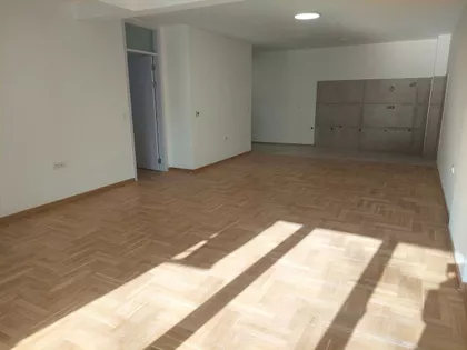 Milana Rakića | 4zida.rs