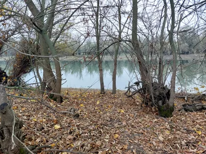 Beogradski Put | 4zida.rs