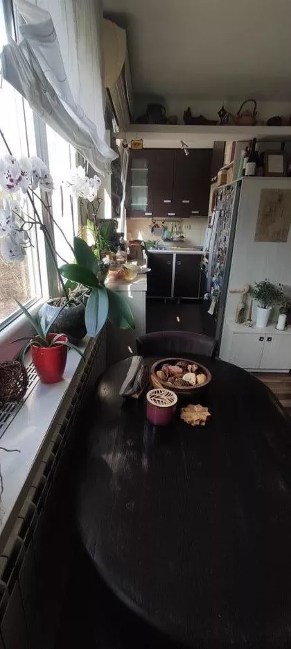 Pere Segedinca | 4zida.rs