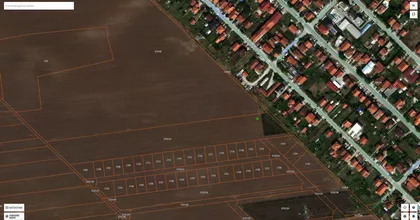 Plavi Horizonti | 4zida.rs
