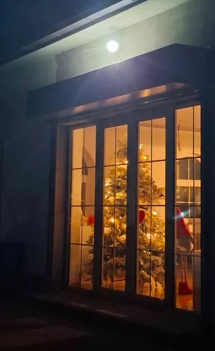 Pejićevi Salaši | 4zida.rs