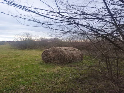 Radomira Stanojevića | 4zida.rs