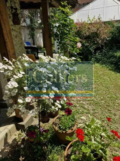 Puskinova | 4zida.rs