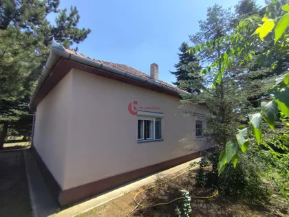 Palić | 4zida.rs