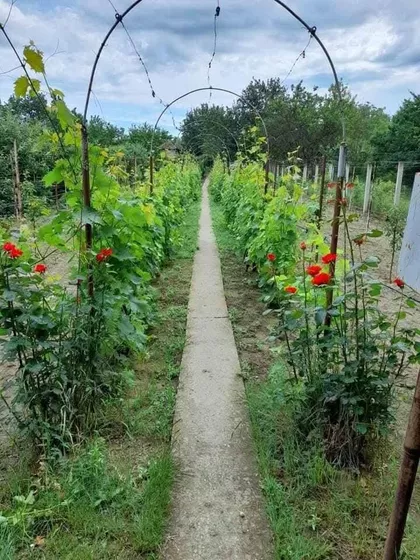 Vojvođanskih Brigada | 4zida.rs