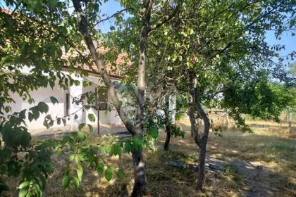 Svetozar Miletić | 4zida.rs