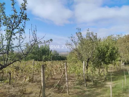 Novi Slankamen | 4zida.rs