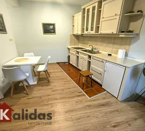 Novi Sad - Centar, Stari Grad, Gradske lokacije, Novi Sad, 1.5 stan | 4zida.rs