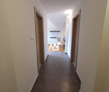 Jelene Ćetković | 4zida.rs