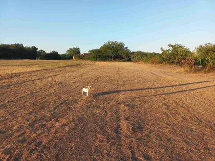 Put Edvarda Kardelja bb | 4zida.rs