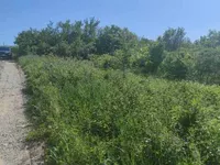 Ledinci, Okolne lokacije, Novi Sad | 4zida.rs