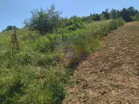 Sviloš, Okolne lokacije, Beočin | 4zida.rs