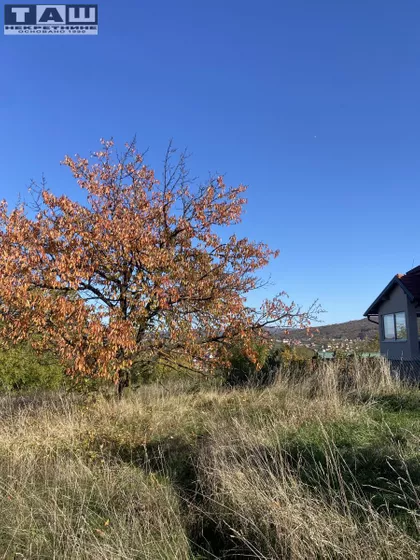 Beloševac | 4zida.rs