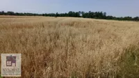 Poljoprivredno zemljište | 4zida