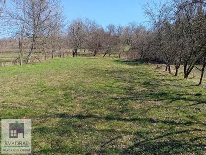 Draževac | 4zida.rs