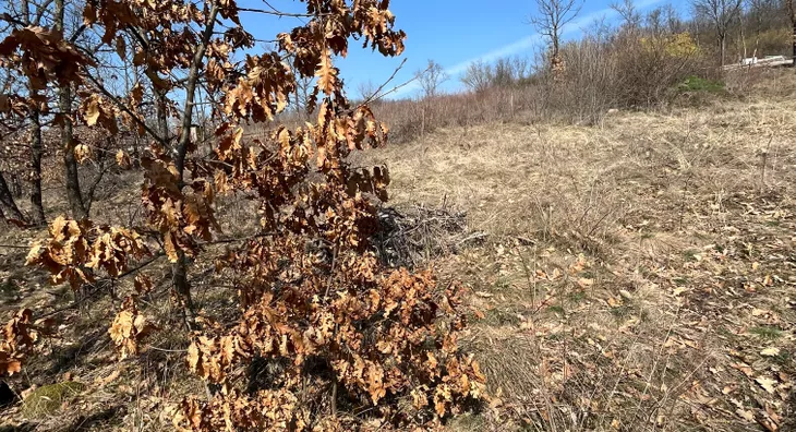Poljoprivredno zemljište | 4zida