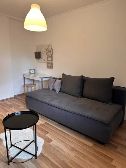 Gospodara Vučića | 4zida.rs