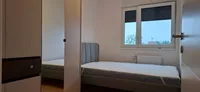 Novo Naselje, Gradske lokacije, Novi Sad | 4zida.rs | 4zida.rs