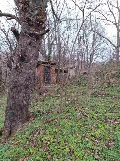 Gornje Vlase | 4zida.rs