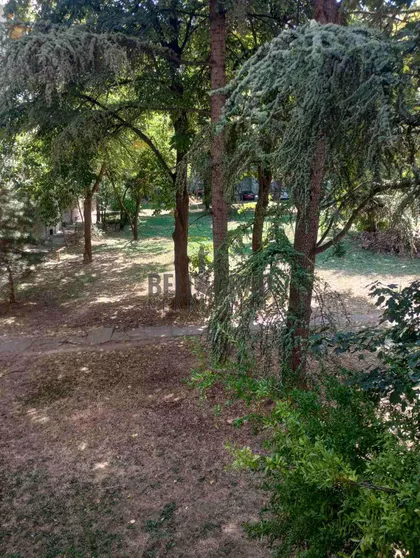 Luja Adamiča | 4zida.rs