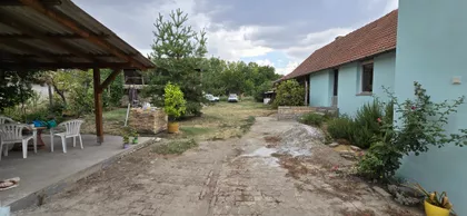 Pačir | 4zida.rs