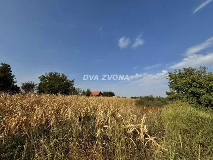 Čortanovci | 4zida.rs
