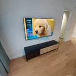 Dorćol, Stari Grad opština, Beograd | 4zida.rs | 4zida.rs