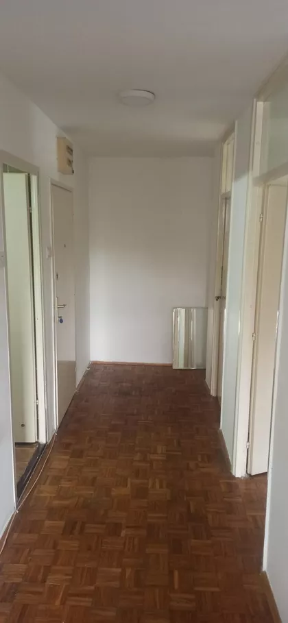 Dr Ivana Ribara | 4zida.rs