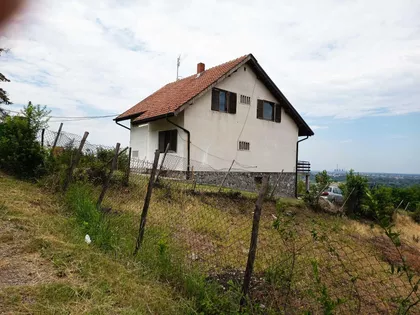 Aleksandra Ace Tešića | 4zida.rs