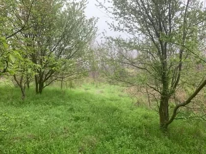 Vlaški Venac | 4zida.rs