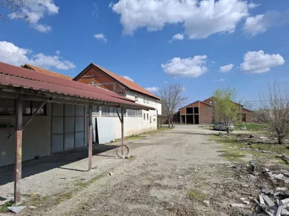 Temišvarski Drum Bb | 4zida.rs