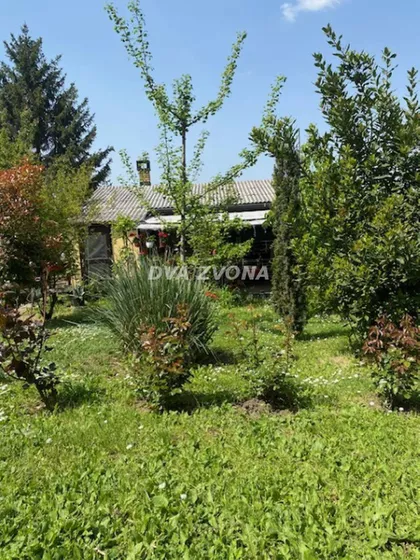 Sremska Kamenica | 4zida.rs