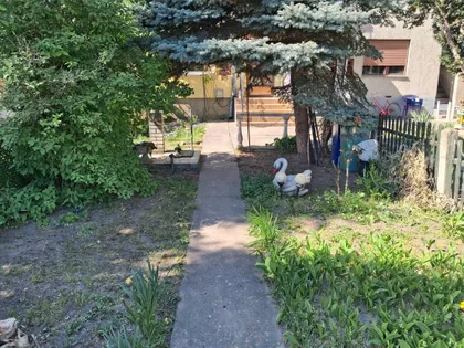 Vladimira Majakovskog 31c | 4zida.rs