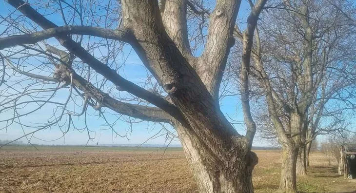 Poljoprivredno zemljište | 4zida