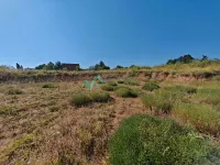 Plac | 4zida