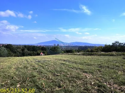 Solunskih ratnika | 4zida.rs