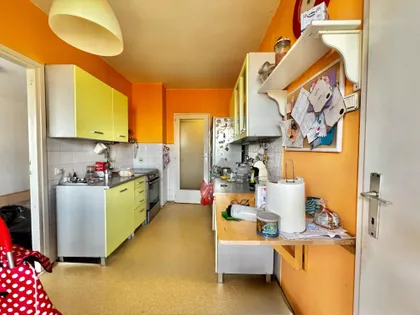 Kej Oslobođenja | 4zida.rs