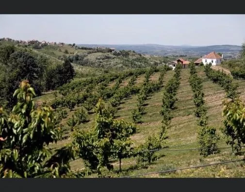 Poljoprivredno zemljište | 4zida