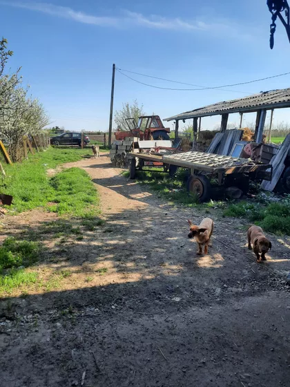 Gradske lokacije | 4zida.rs