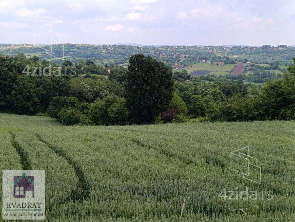 Plac | 4zida