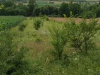 Gradske lokacije, Rekovac | 4zida.rs