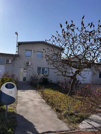 Pita Maravića | 4zida.rs