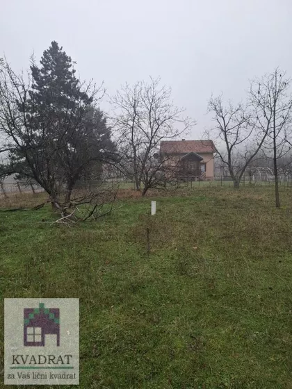 Šušnjar | 4zida.rs