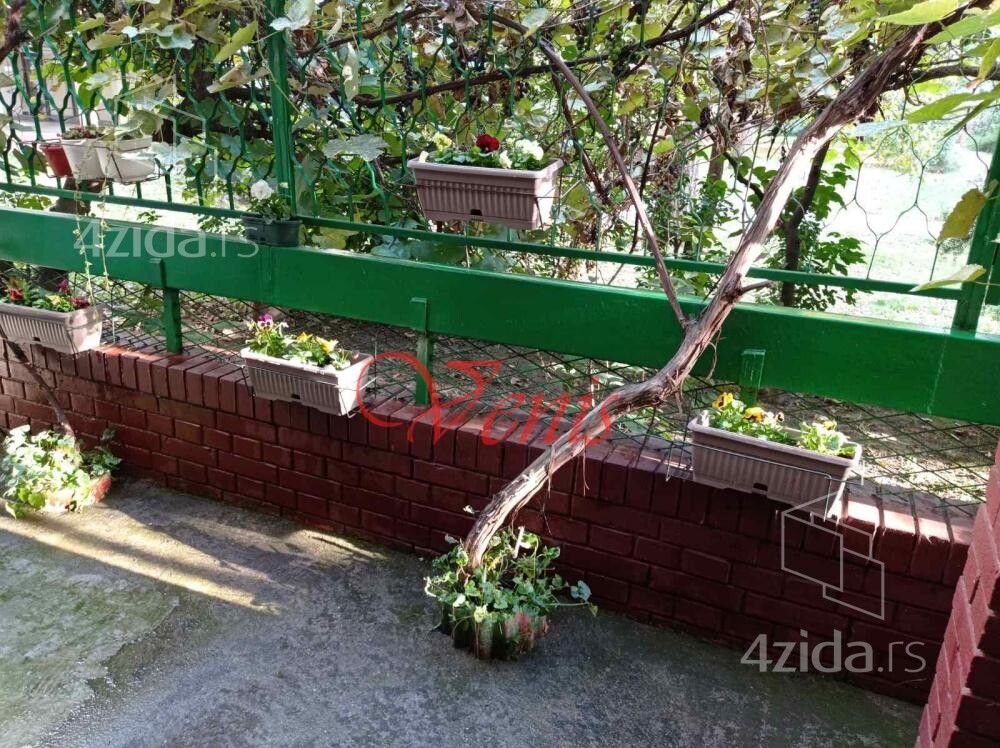 Stan – Novi Sad, MZ Liman 3, Liman - Više