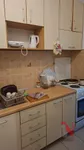 Novi Sad, Gradske lokacije, Detelinara | 4zida.rs | 4zida.rs